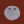SandDollar