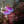 neonlightw