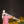 fourstar50