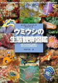 西田和記. (2024). ウミウシの生態観察図鑑. 誠文堂新光社. 表紙