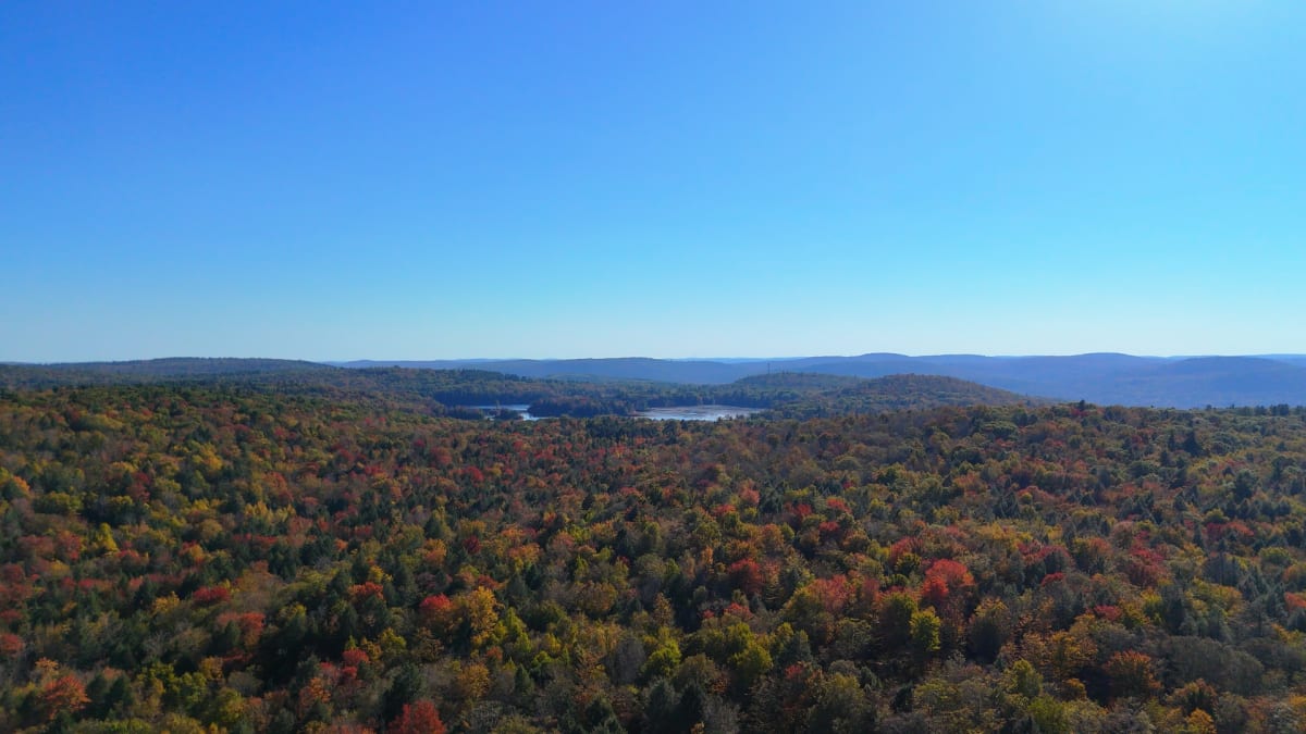 Overhead view of Camp Timber Trails