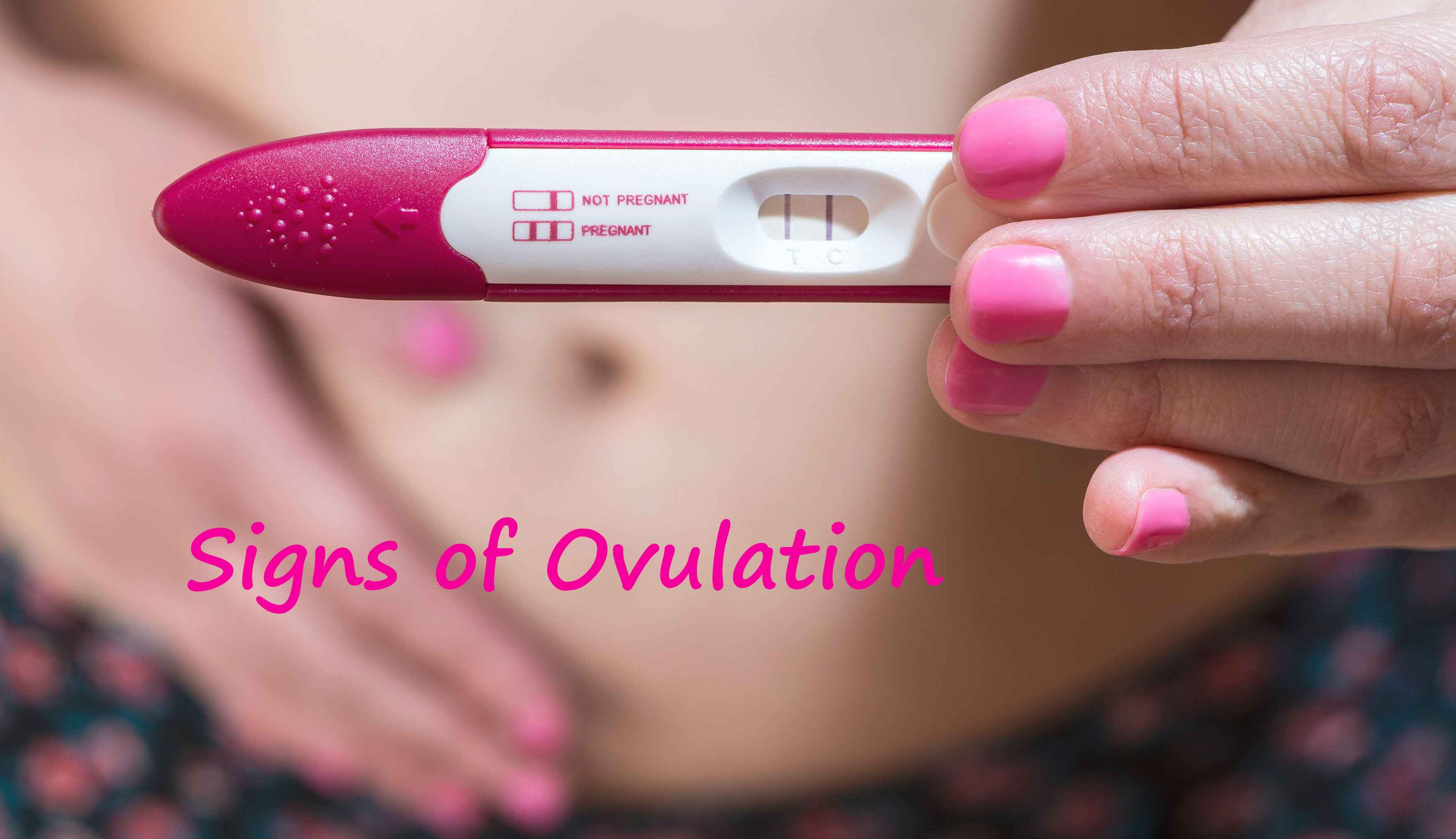 Signs of Ovulation | Symptoms Of Ovulation | Signs & Symptoms Of Ovulation