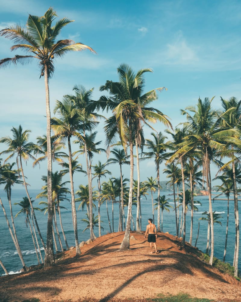 Lush Getaway