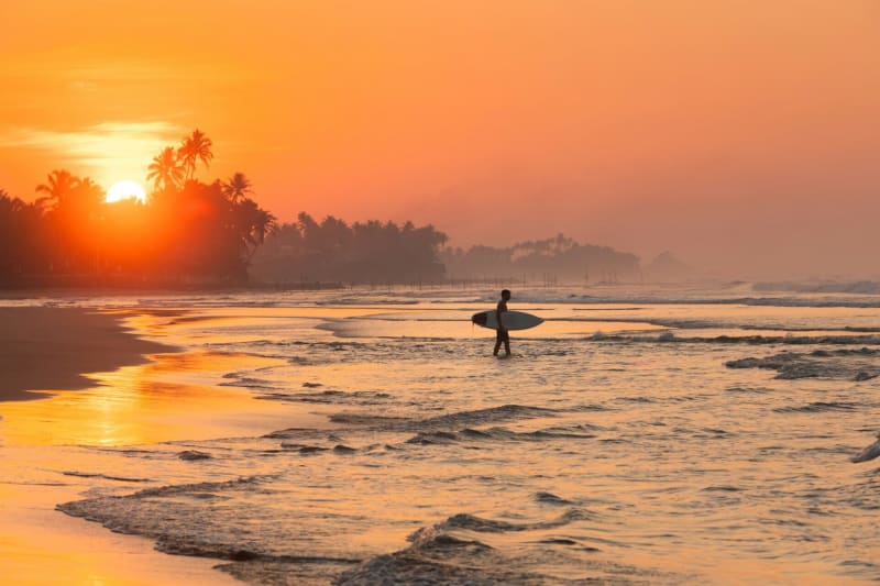 Tropical Trekker