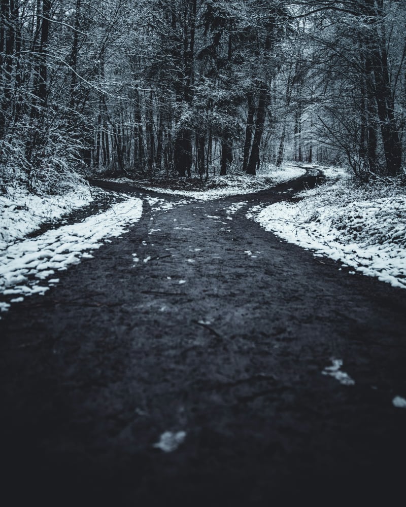 Split path representing the choice between written and clinical assessment preparation
