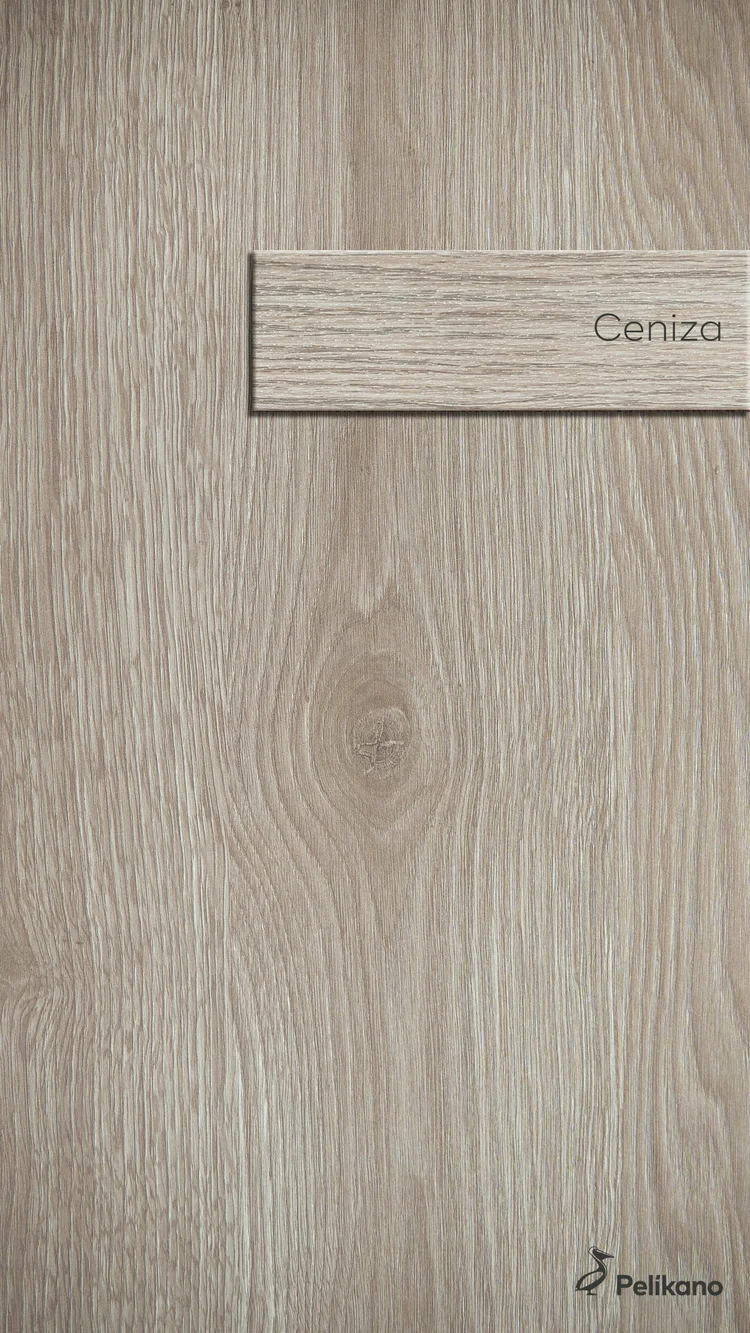 Ceniza