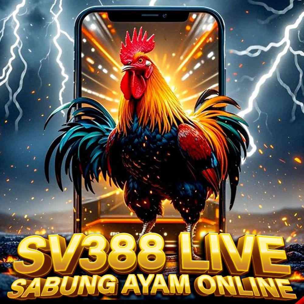 HYPERPLAY77: Selamat Datang Di Situs Online Resmi Sabung ayam Online SV388 Tahun 2025