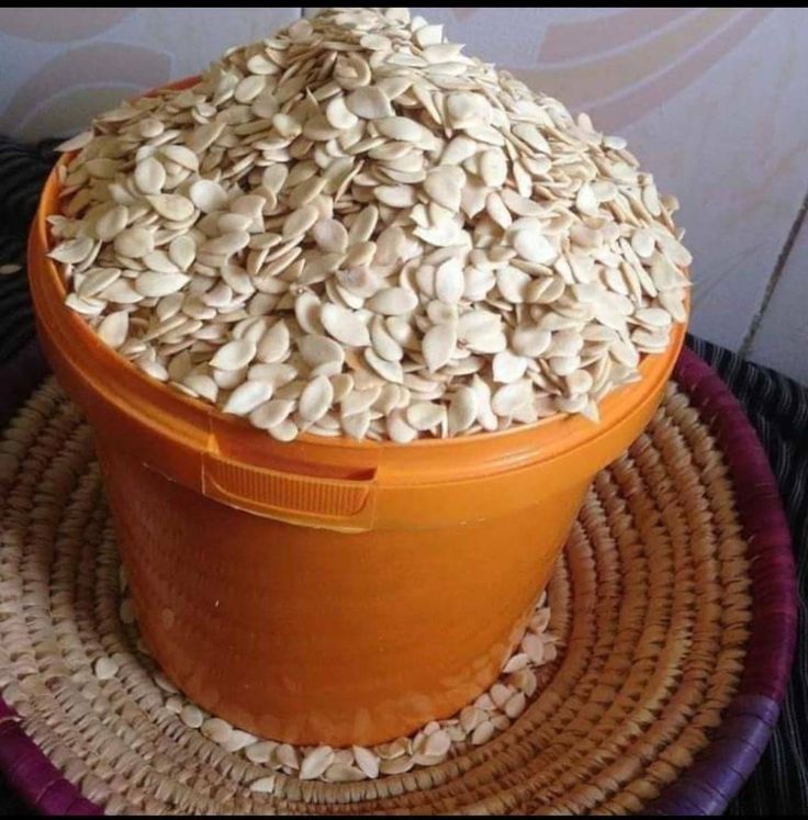 paint bucket of melon seed