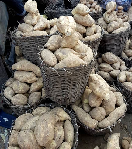 Sweet Potatoes – Small Basket image 1