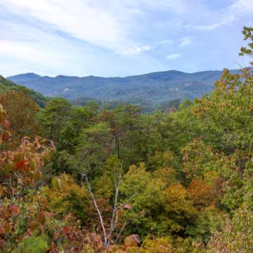 black bear ridge views - 1 Black Bear Ridge Resort Mountain Views