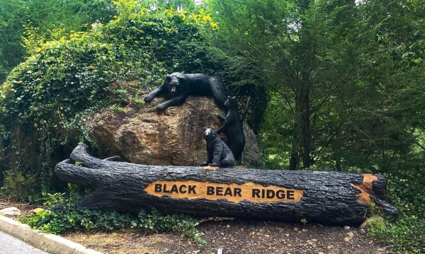 black bear ridge - 1 Black Bear ridge Resort Entrance Sign
