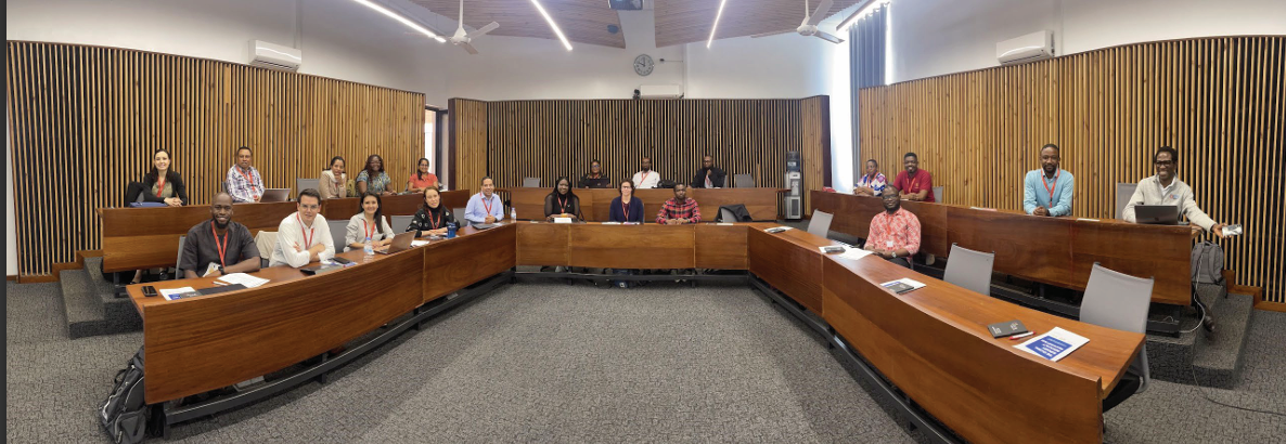 Empowering Global Surgery Leaders through Storytelling for Advocacy