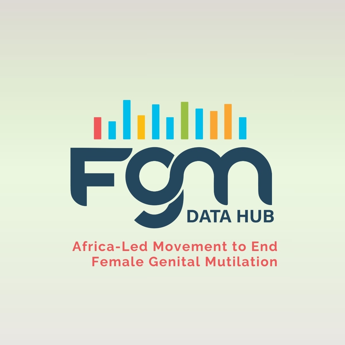 Amplifying Evidence to End FGM Through the FGM Data Hub Communications Strategy