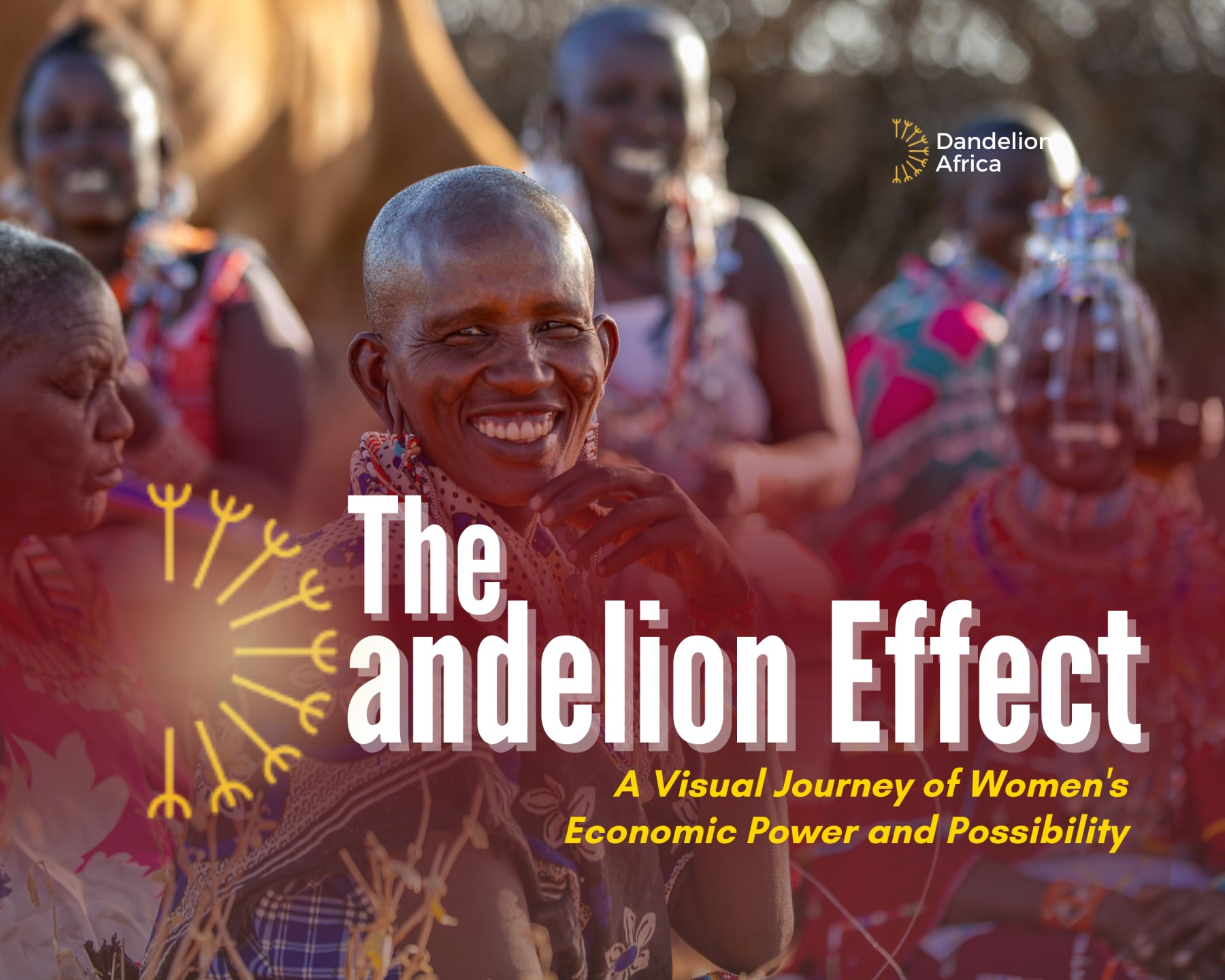 The Dandelion Effect