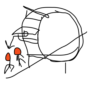 Content scribble your mind