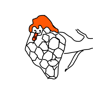 Content scribble your mind