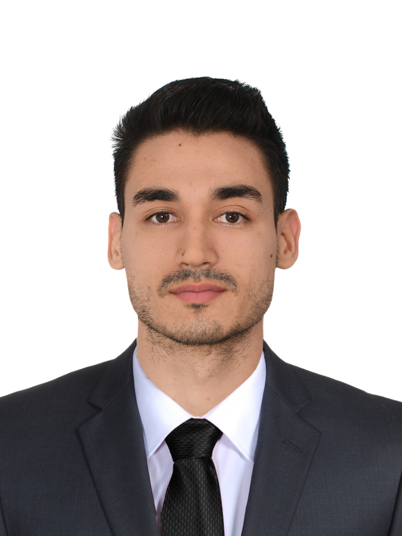 Ing. Nicolas Mera Llanos