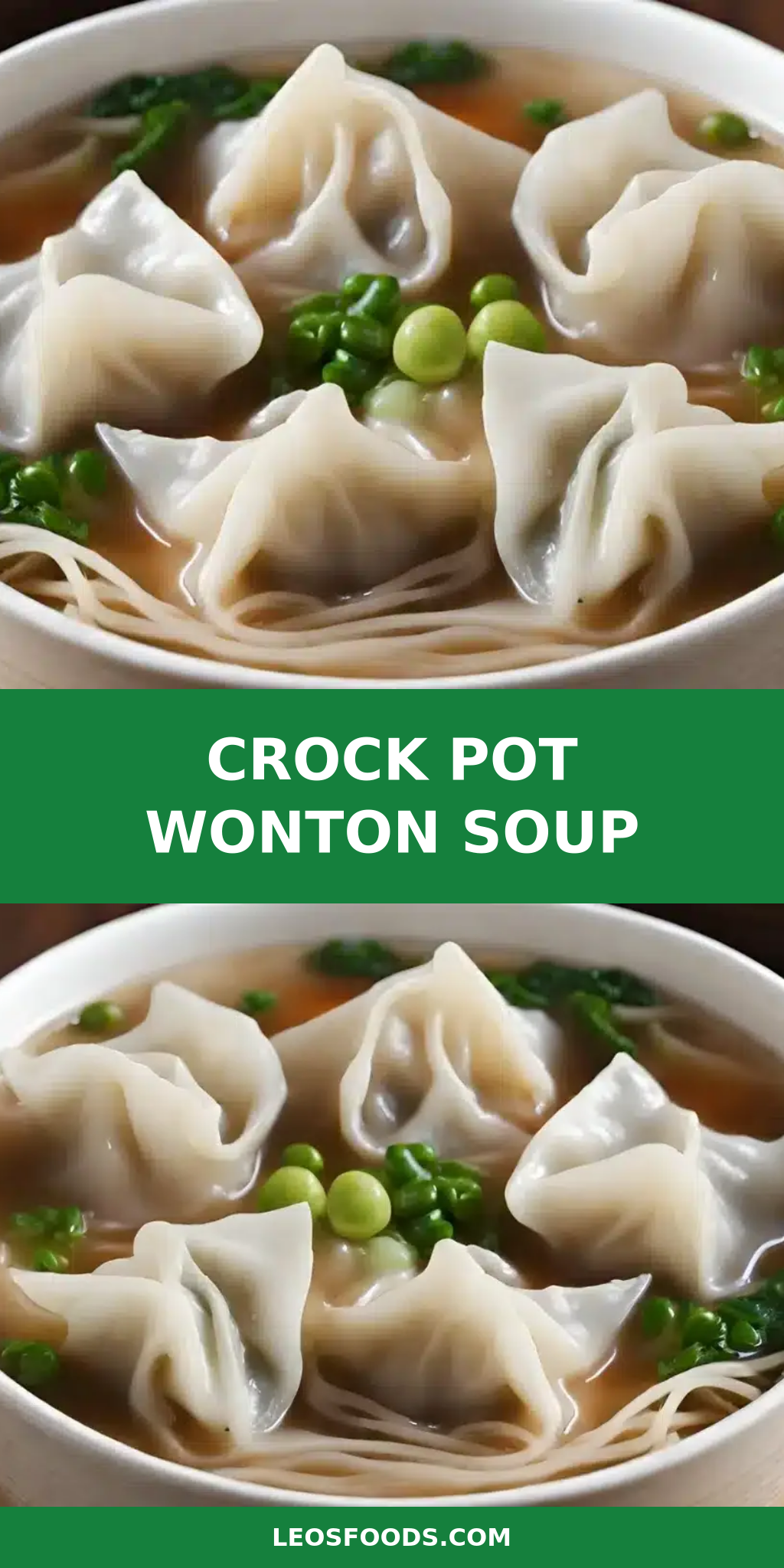 Crock Pot Wonton Soup