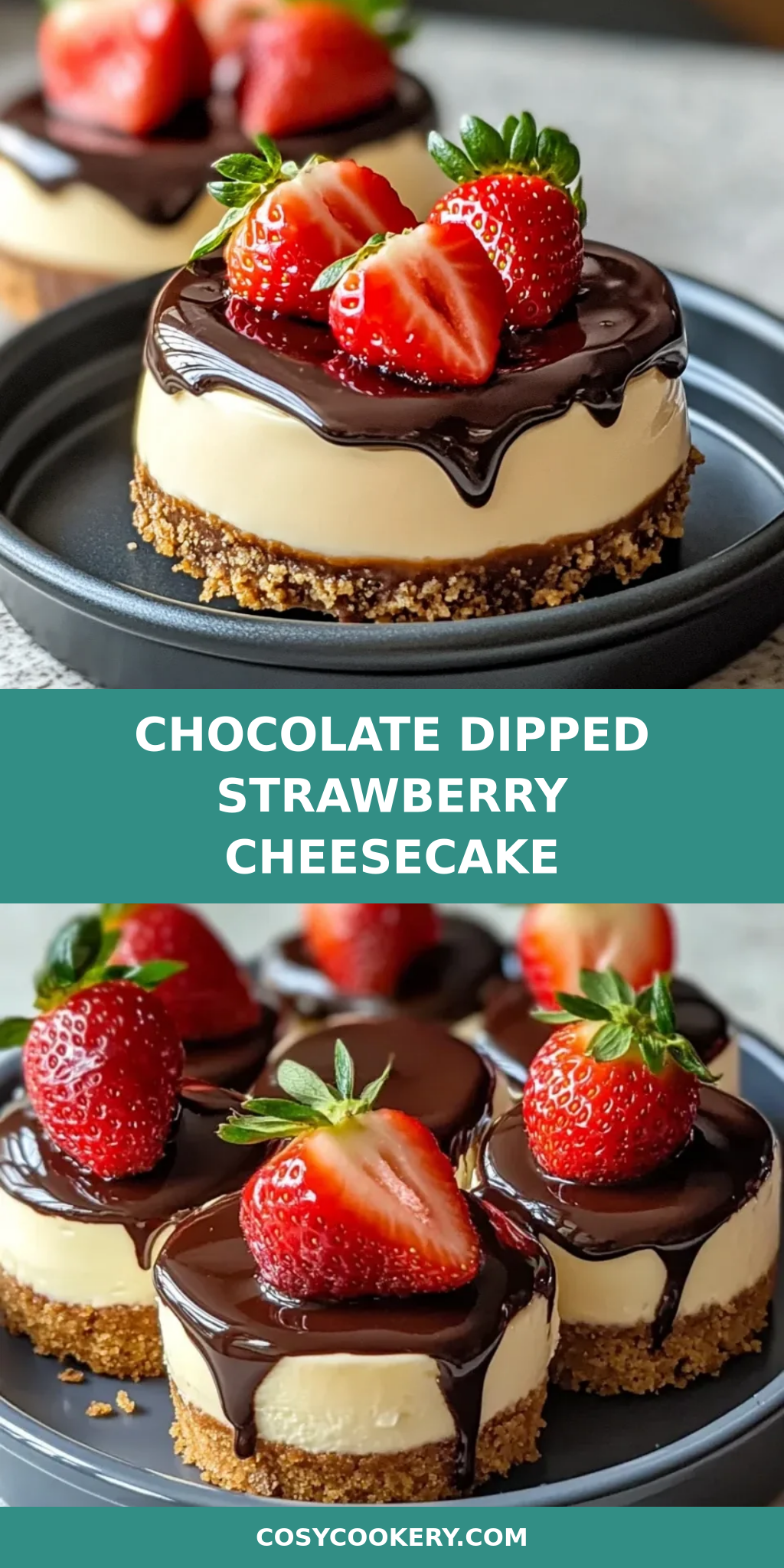 Chocolate Dipped Strawberry Cheesecake