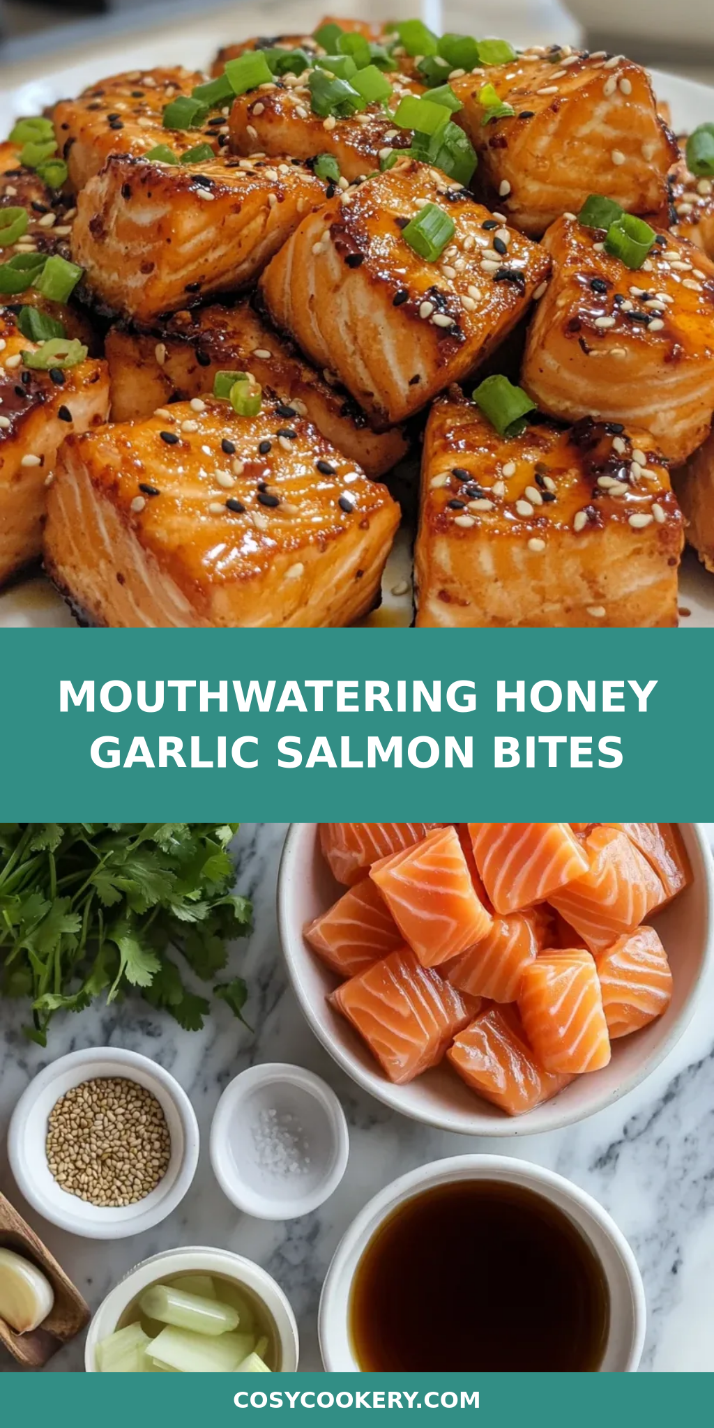 Mouthwatering Honey Garlic Salmon Bites