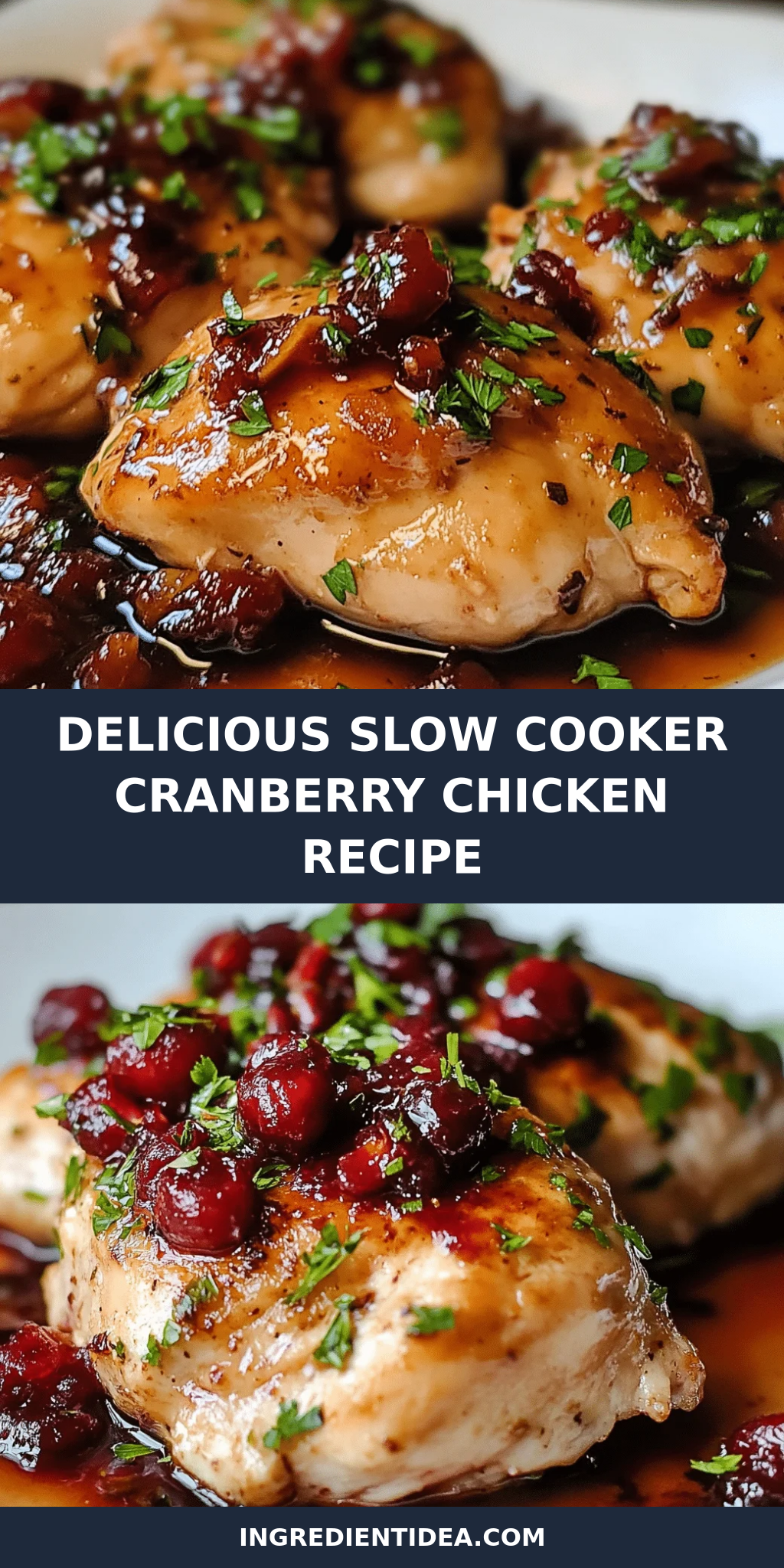 Delicious Slow Cooker Cranberry Chicken Recipe