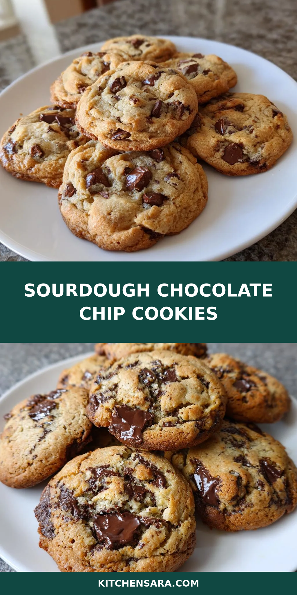 Sourdough Chocolate Chip Cookies