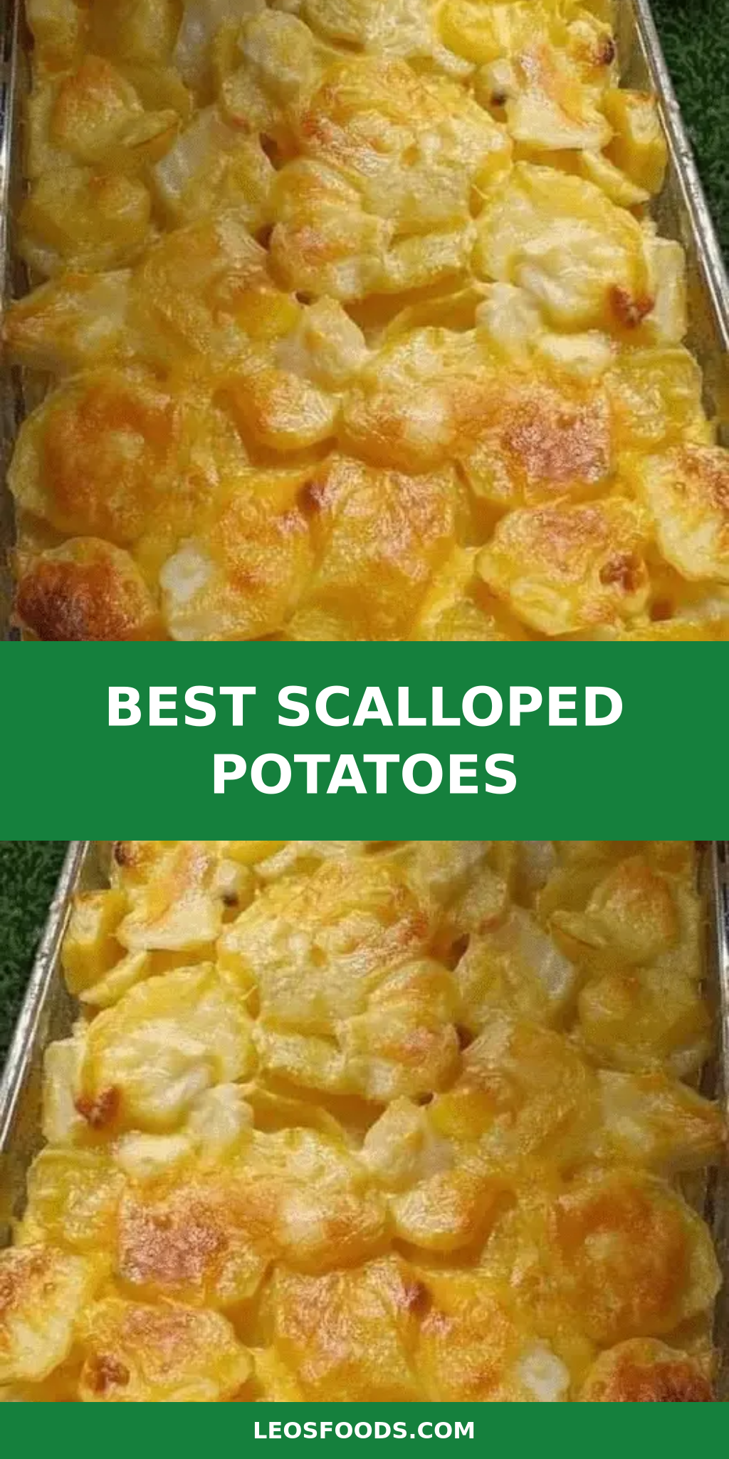 Best Scalloped Potatoes