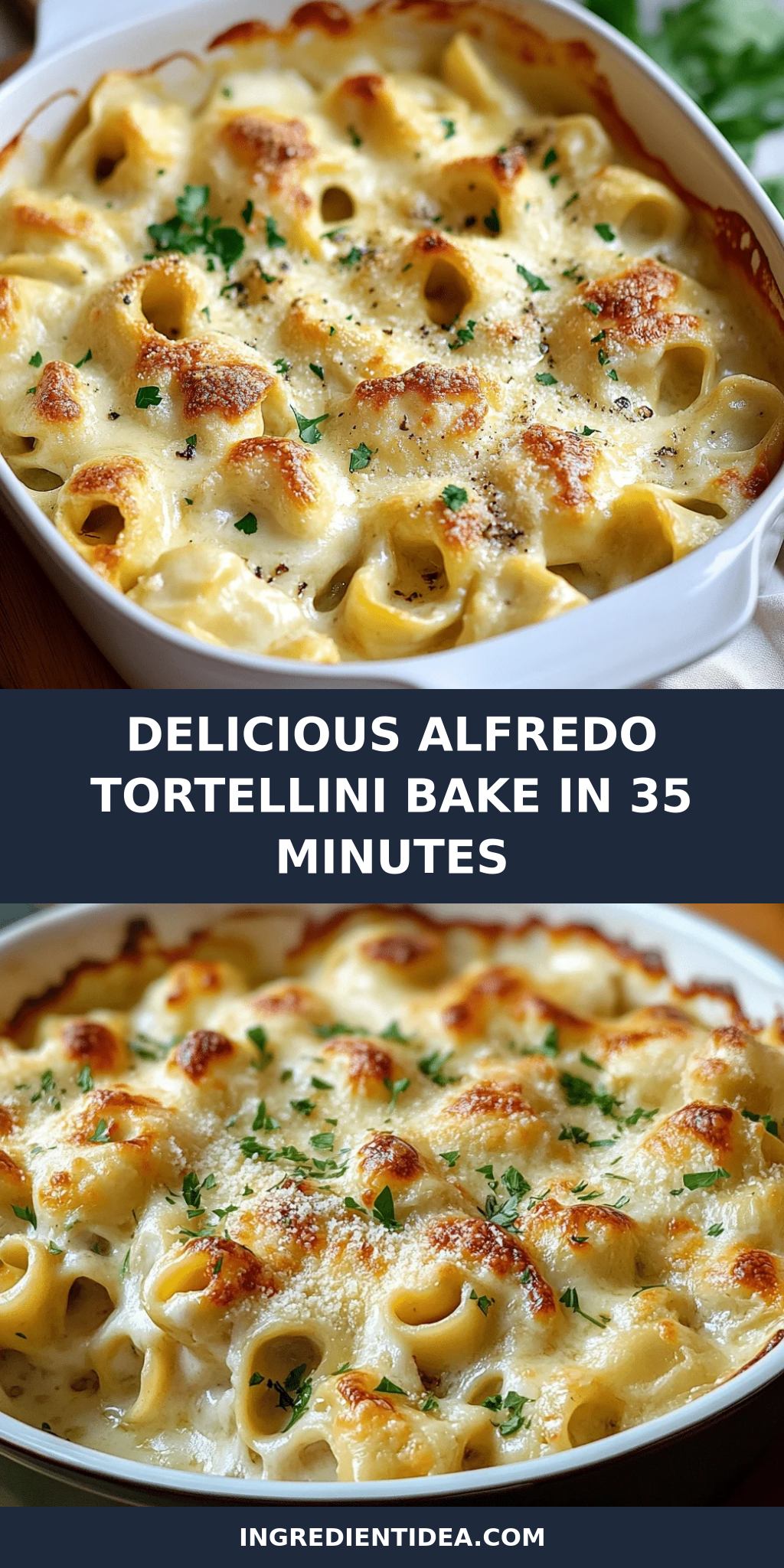 Delicious Alfredo Tortellini Bake in 35 Minutes