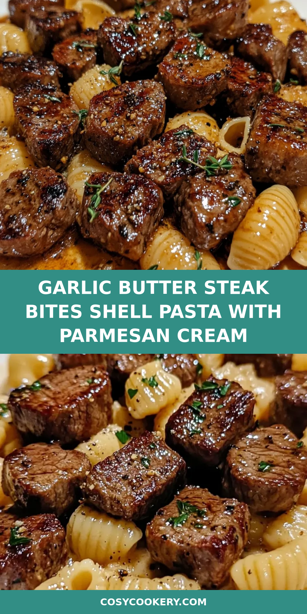 Garlic Butter Steak Bites shell pasta with Parmesan Cream