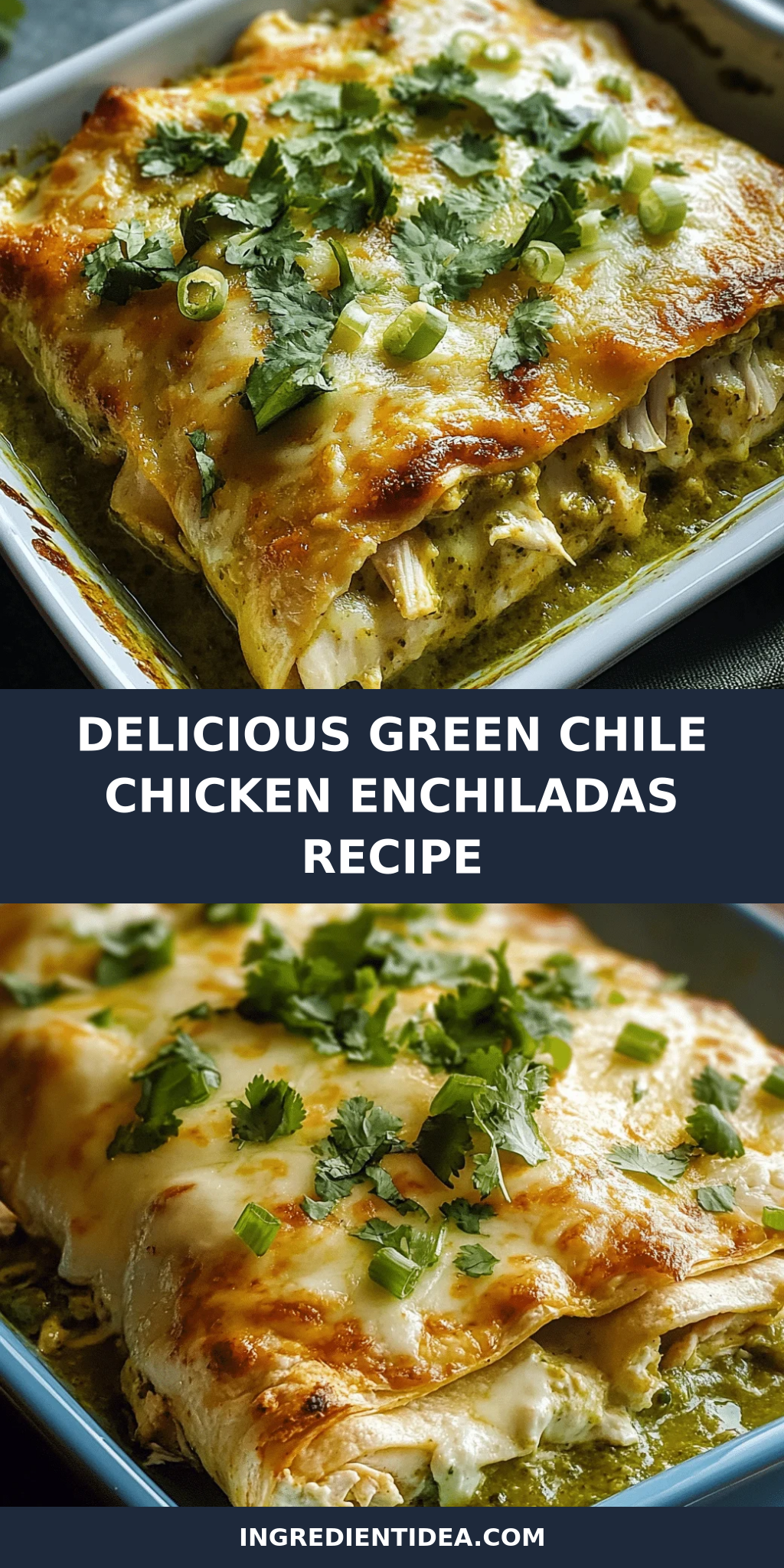 Delicious Green Chile Chicken Enchiladas Recipe