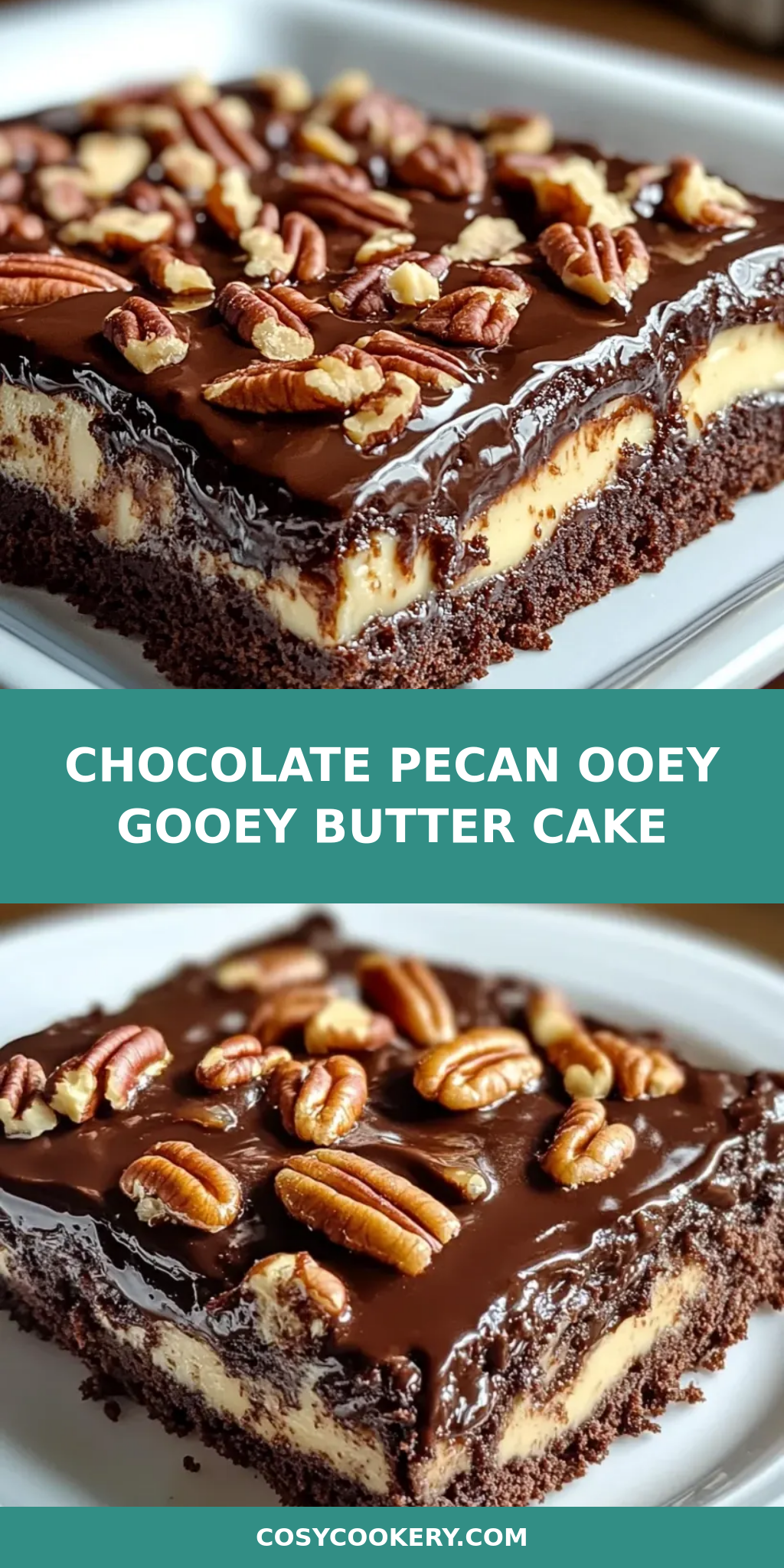 Chocolate Pecan Ooey Gooey Butter Cake