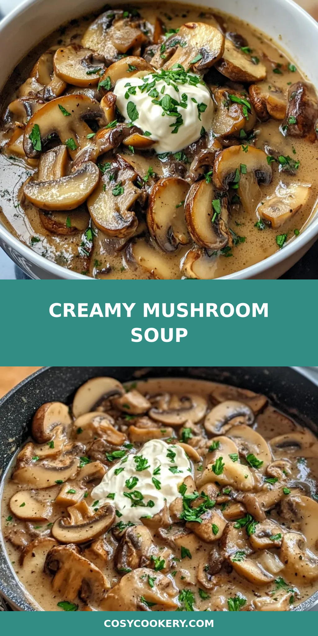Creamy Mushroom Soup