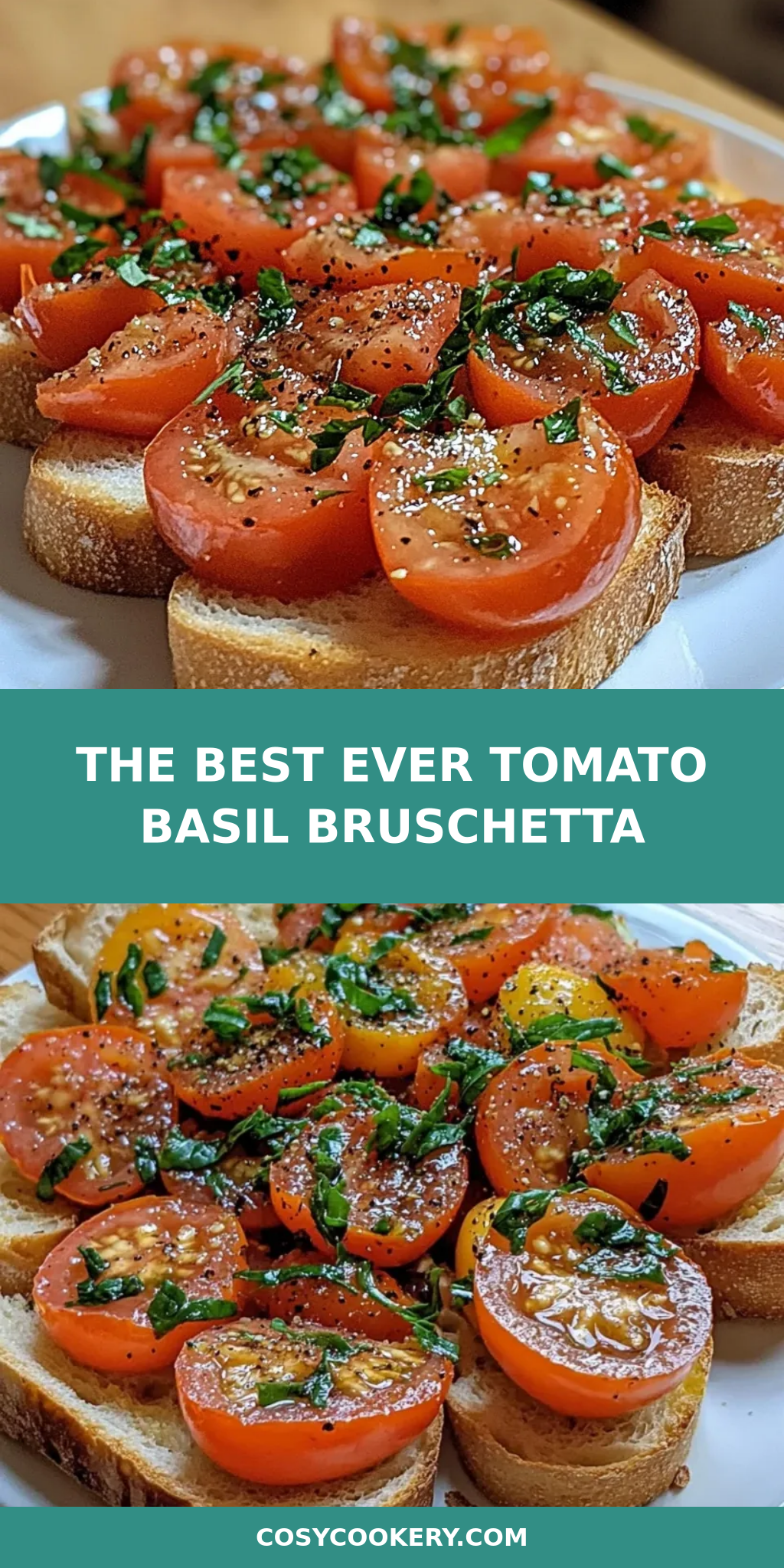 The Best Ever Tomato Basil Bruschetta