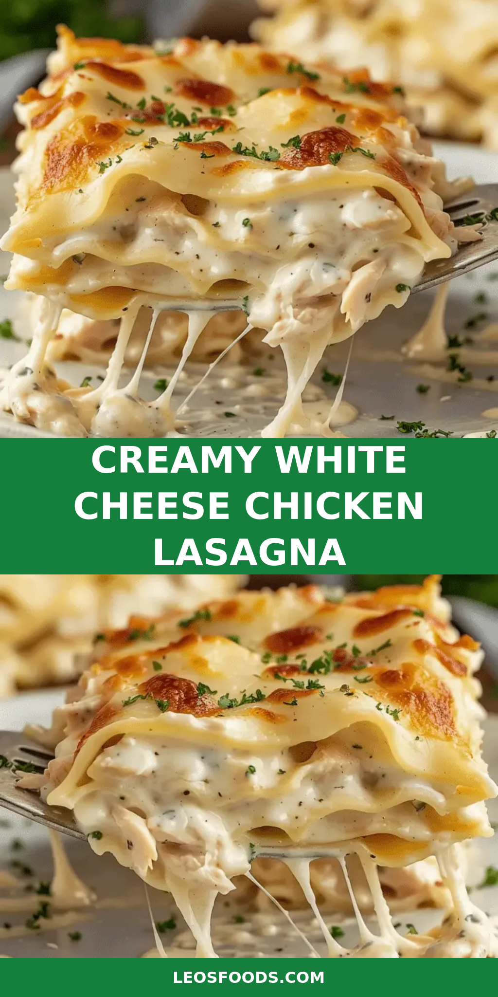 Creamy White Cheese Chicken Lasagna