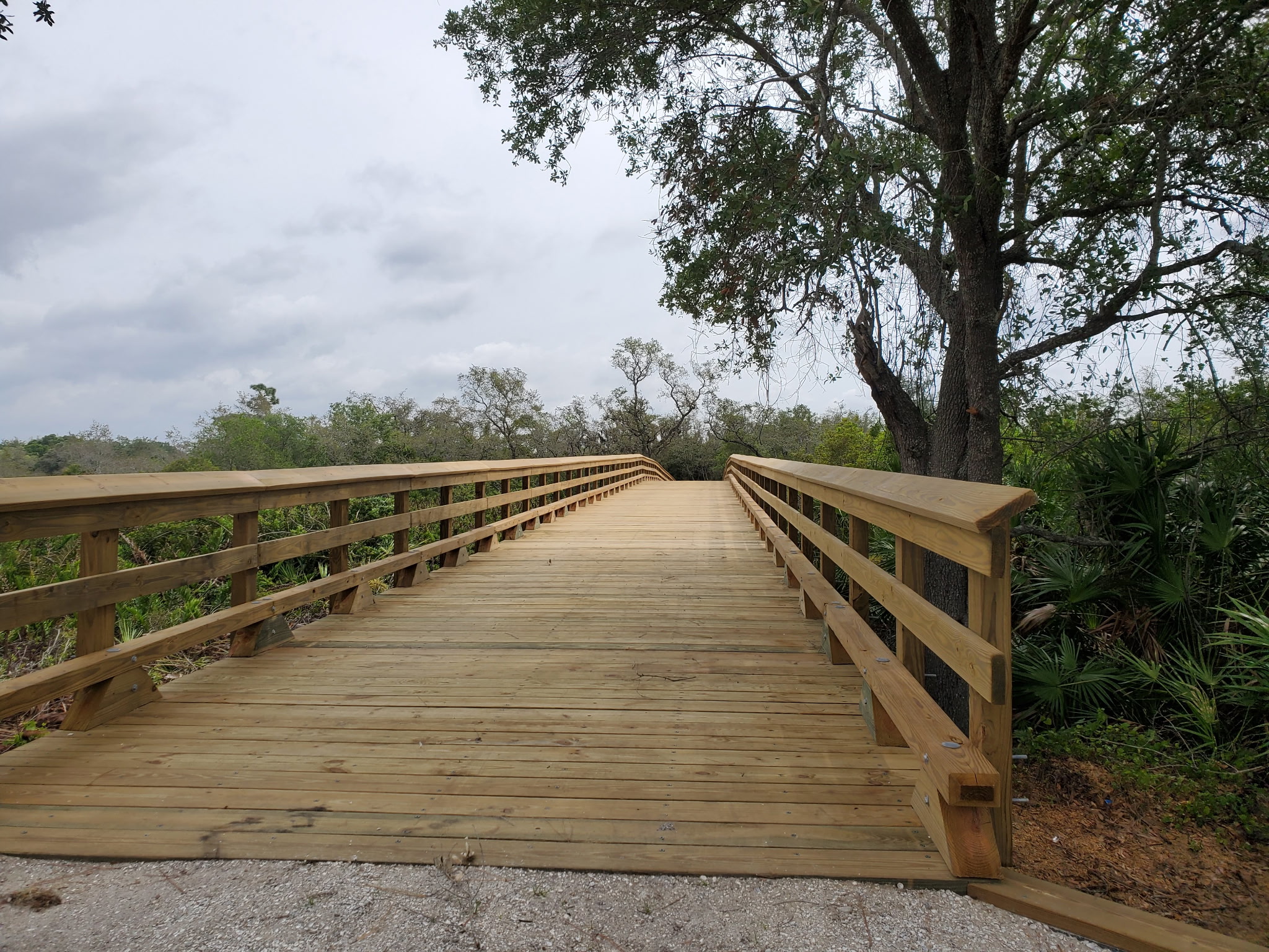 Wellen Park Bridge • Venice, FL