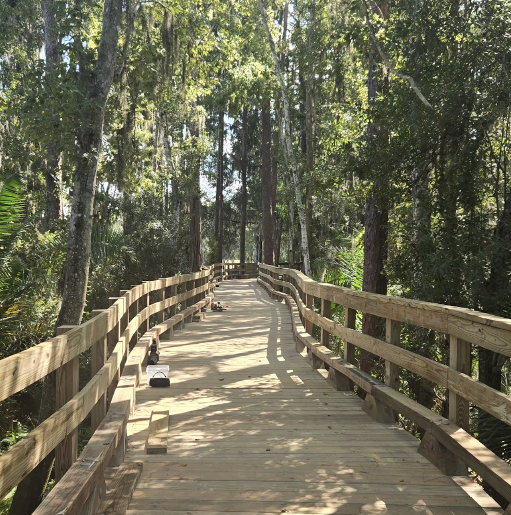 Cart Bridge • Odessa, FL