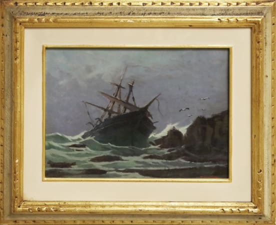 VM05881