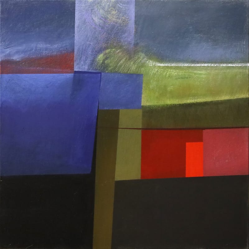 Rino Valido — Il campo di papaveri