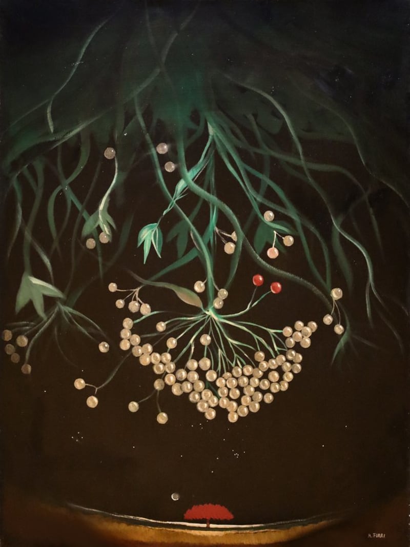 Marco Furri — Luci di luna