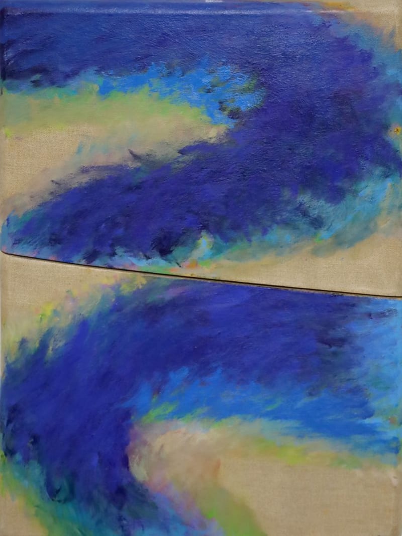 Tetsuro Shimizu — Contraddizione