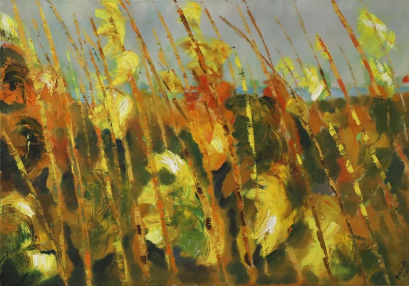 Renato Borsato — Senza titolo