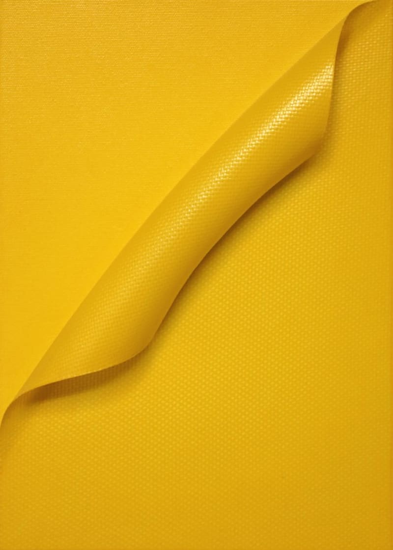 Antonio Baccarin — Senza titolo