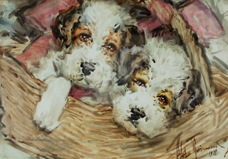 Aldo Raimondi — Cagnolini