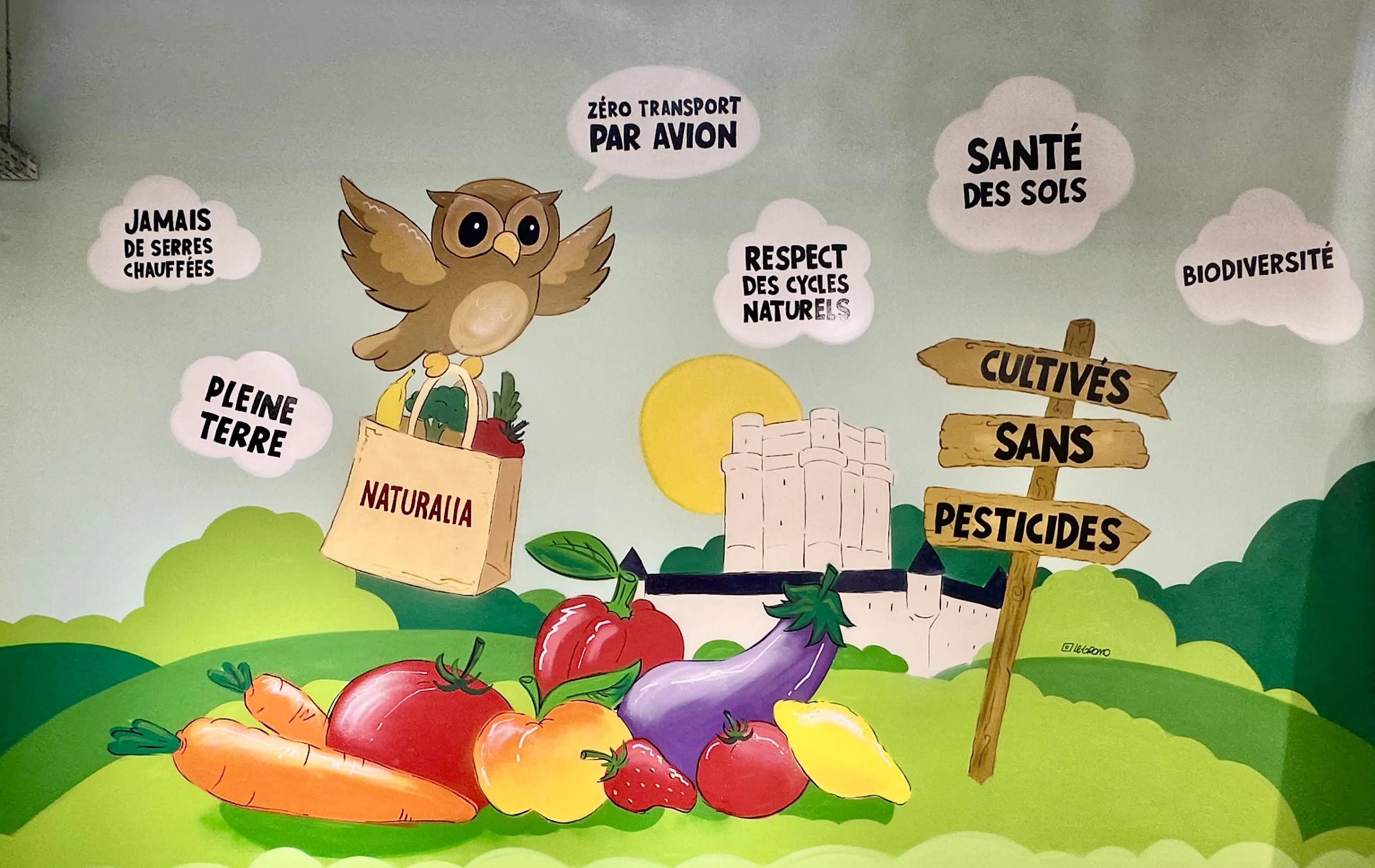 Naturalia chouette Avignon