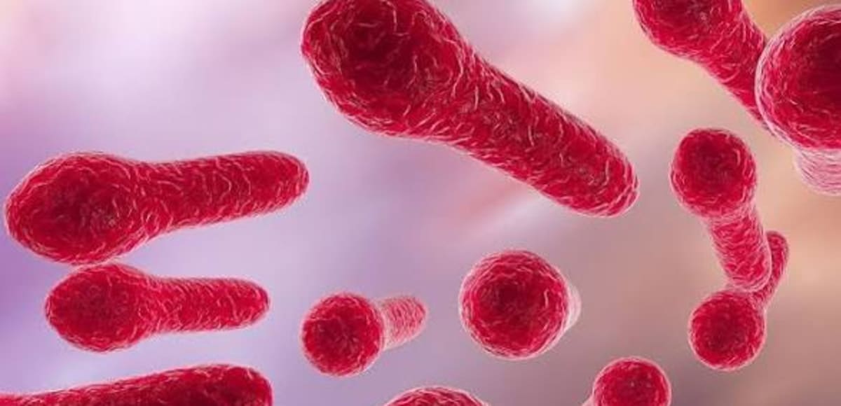 Tetanus: Causes, Symptoms, Prevention, and Treatment