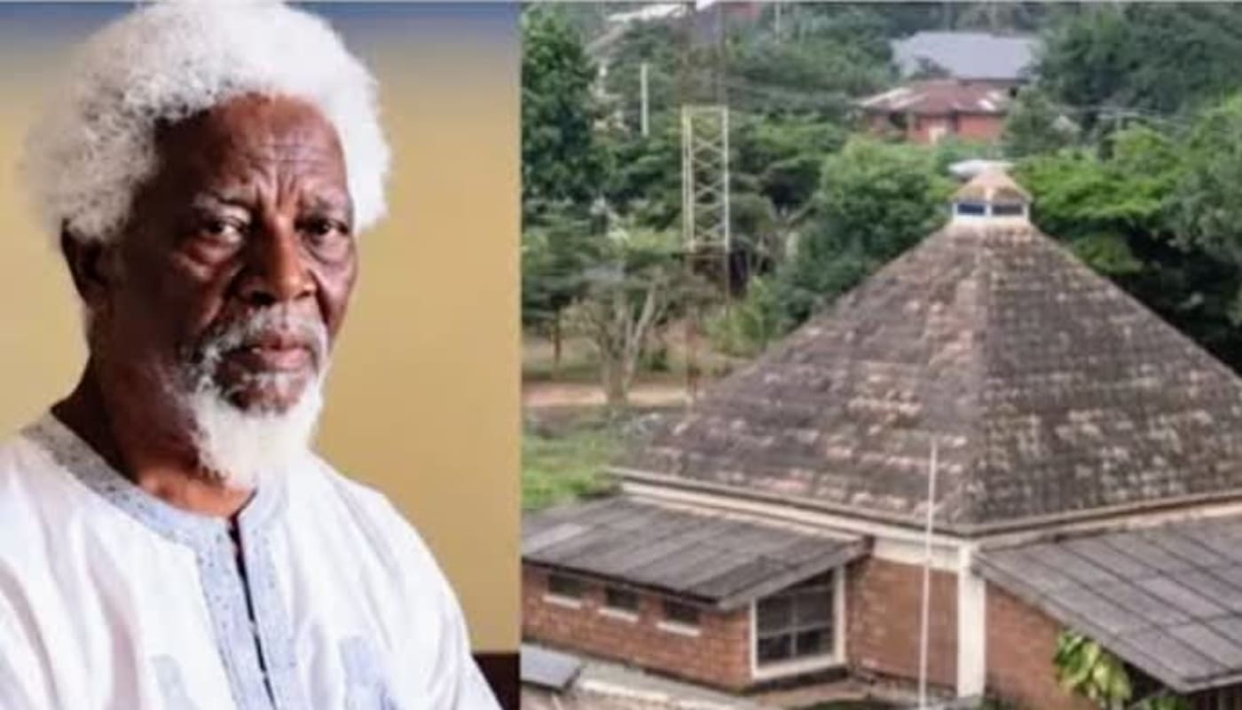 Cooling Without Air Conditioning: What Demas Nwoko's Clay Houses Say About Nigerian Design