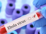 Nigeria Confirms Ebola Case in Abuja as Health Authorities Trace 44 Contacts