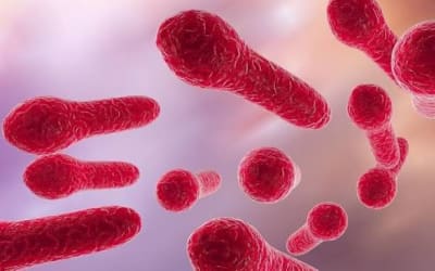 Tetanus: Causes, Symptoms, Prevention, and Treatment