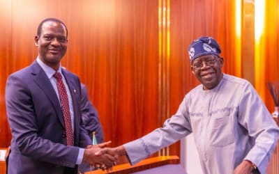 Taiwo Oyedele Dismisses ₦80 Trillion Borrowing Claim, Defends Tinubu's Fiscal Record