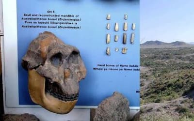 THE CRADLE OF HUMAN KIND: OLDUVAI GORGE TANZANIA 